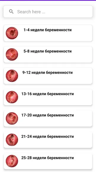 Скриншот 1/4