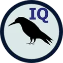 IQ тест Равена логотип
