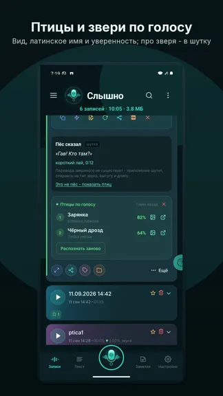 Скриншот 6/10