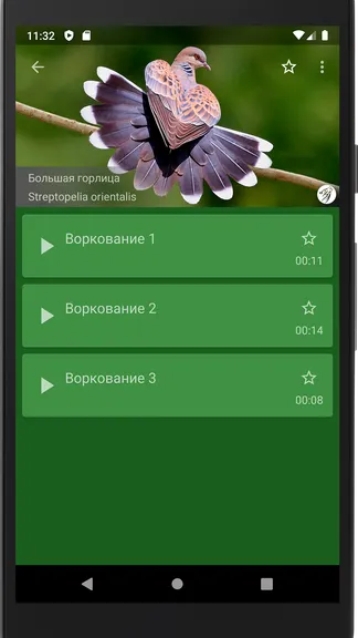 Скриншот 3/4