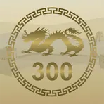 300 основных иероглифов логотип