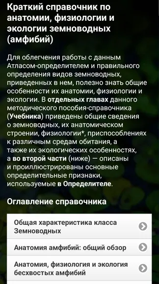 Скриншот 5/8
