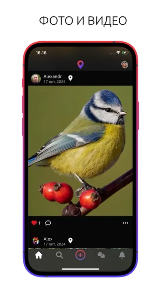 Скриншот 3/8