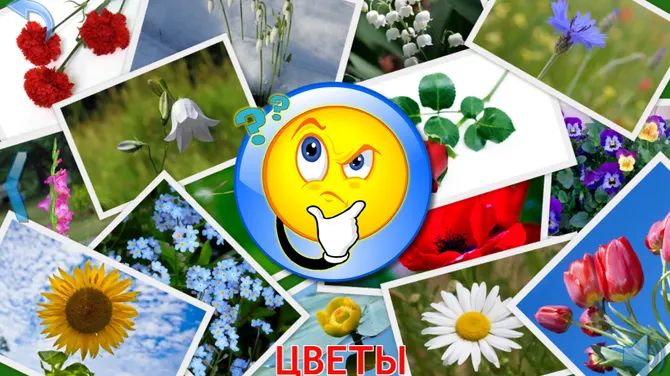 Скриншот 5/8