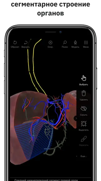 Скриншот 4/5