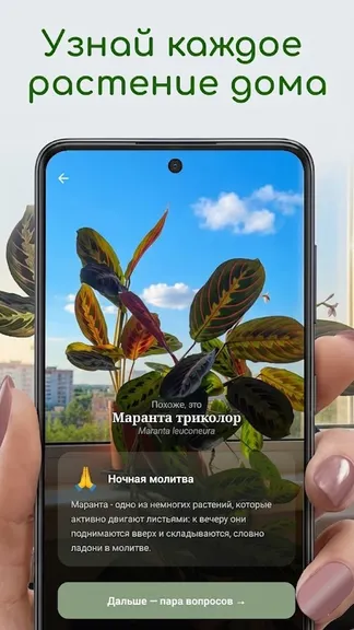 Скриншот 1/5
