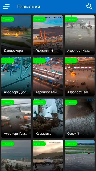 Скриншот 5/5