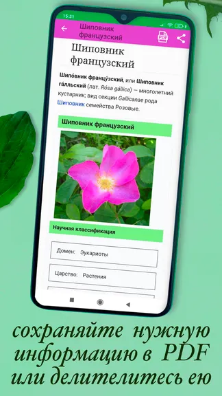Скриншот 4/10