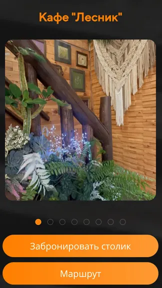 Скриншот 7/9