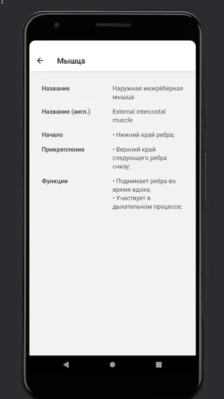 Скриншот 4/8
