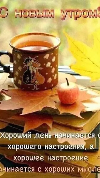 Скриншот 8/10