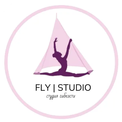 Fly Studio