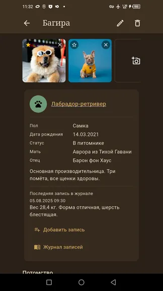 Скриншот 3/10