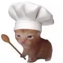 Котята Стикеры Ватсап и Телеграм логотип
