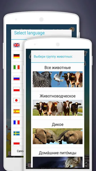 Скриншот 8/8