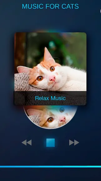 Скриншот 8/10