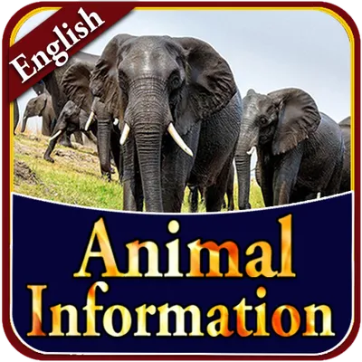 Animal Information in English