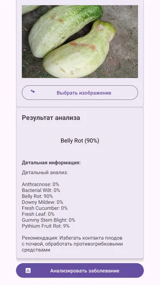 Скриншот 2/6