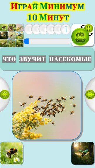 Скриншот 4/4
