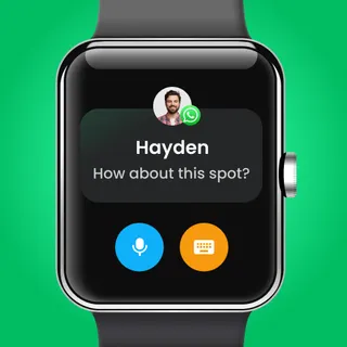 App icon
