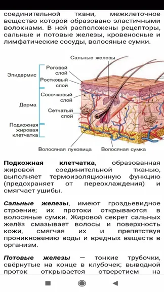 Скриншот 3/4