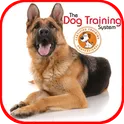 Dog Training логотип