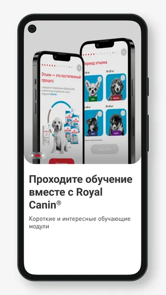 Скриншот 4/5