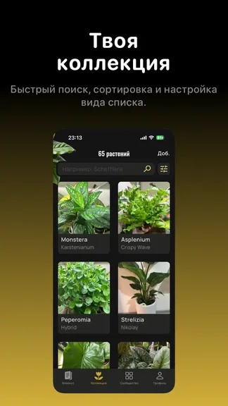 Скриншот 3/9