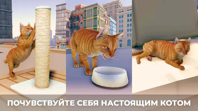 Скриншот 3/6