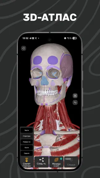 Скриншот 1/7