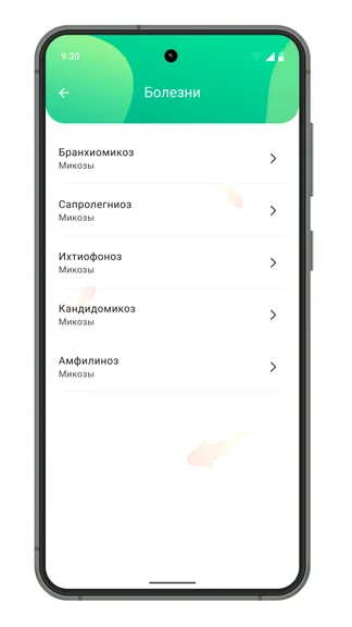 Скриншот 3/4