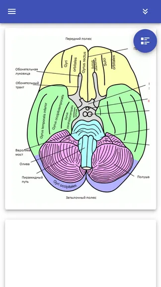 Скриншот 2/6