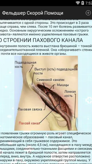 Скриншот 4/8