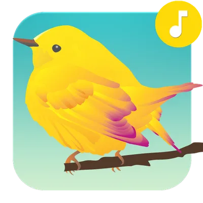 Bird Sounds Ringtones