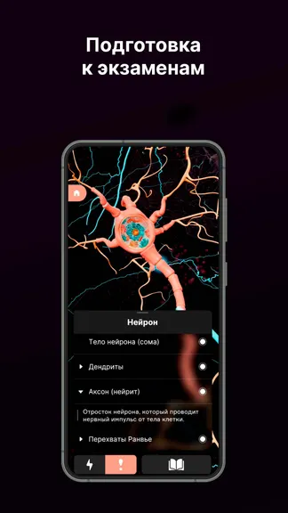 Скриншот 4/4