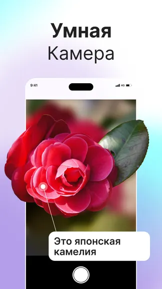 Скриншот 4/4