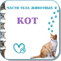 Карточки Логопеда Части тела животных (100) логотип
