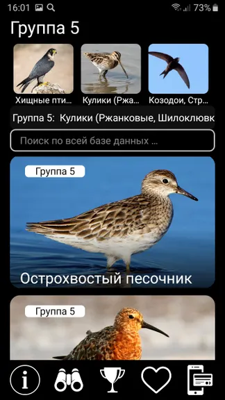 Скриншот 6/10