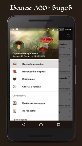 Скриншот 3/5