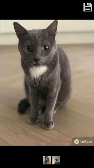 Скриншот 7/7