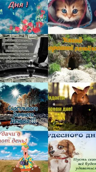 Скриншот 2/5