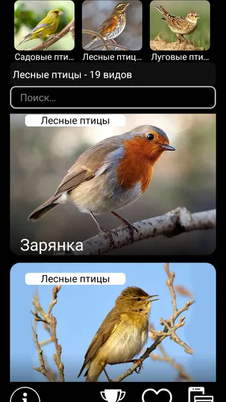Скриншот 5/8