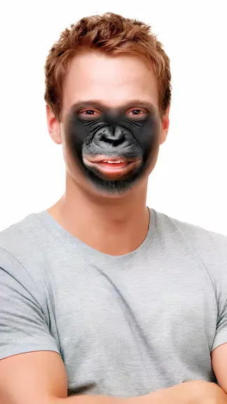 Скриншот 1/5