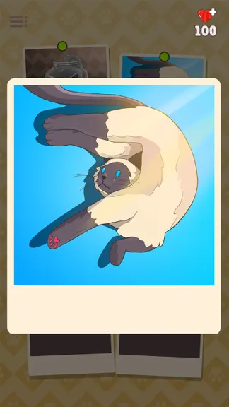 Скриншот 5/6