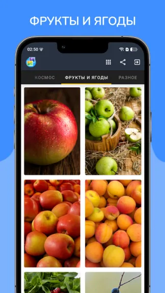 Скриншот 9/10