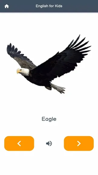 Скриншот 2/5