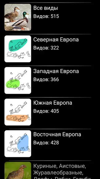 Скриншот 8/8