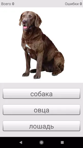 Скриншот 4/8
