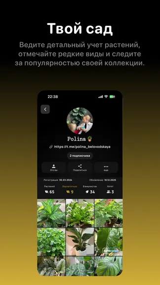 Скриншот 1/9