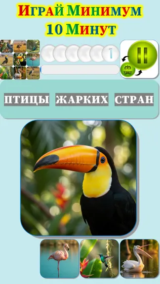 Скриншот 2/4